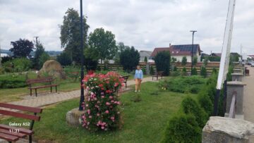 Ruinele catedralei Catolice puse în valoare la Baia