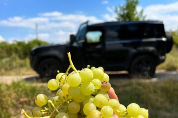 Must de calitate superioară, pentru prepararea vinului acasă, de la Cramele Gramma din Iași