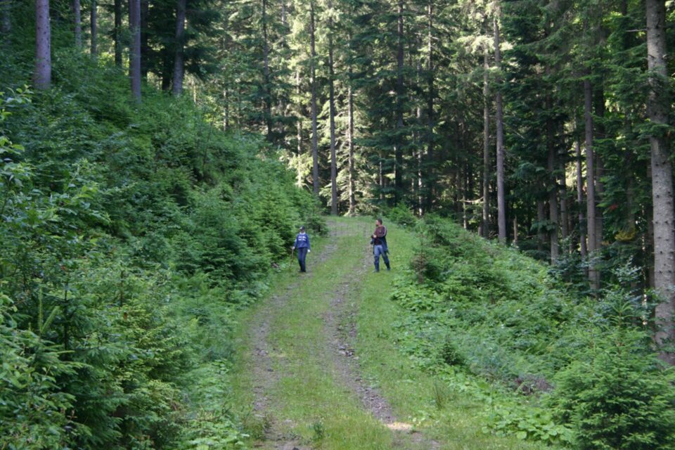 A lovit cu un lanț mașina unui pădurar și l-a amenințat pentru că i s-a cerut să plece din pădure A lovit cu un lanț mașina unui pădurar și l-a amenințat pentru că i s-a cerut să plece din pădure