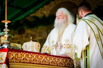 „Îndrăzniți, Eu sunt; nu vă temeți!” – Predica Înaltpreasfințitului Părinte Calinic la Duminica a IX-a după Rusalii