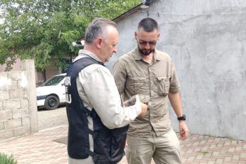 Mobilizare pentru salvarea unei țestoase dobrogene