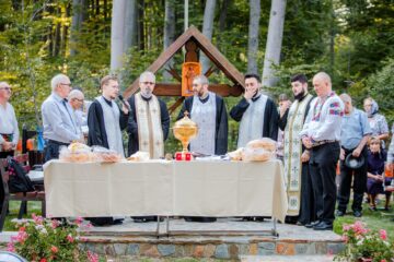 Troita Adancata sursa: Casian Mitu