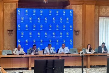 Prim-vicepreședintele Partidului Național Liberal, Gheorghe Flutur, a condus ședința Comisiei Naționale pentru Politici Publice a PNL