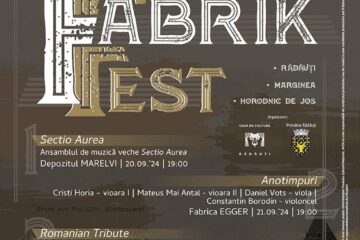 ,,Fabrik Fest” aduce la Rădăuți și în zone limitrofe concerte de muzică clasică, în spații neconvenționale