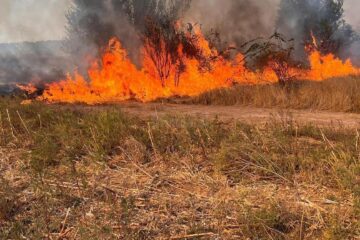 Incendiu vegetație (foto generic)