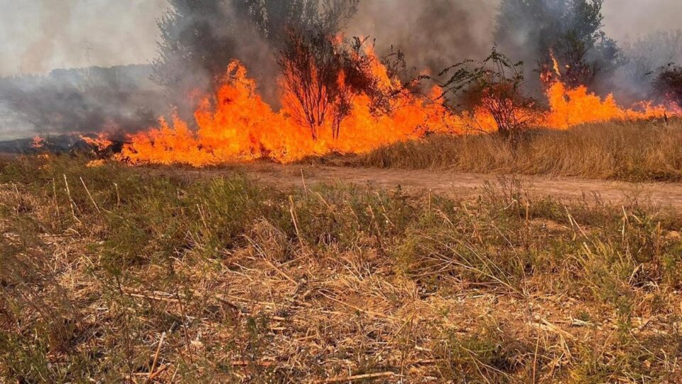 Incendiu vegetație (foto generic)