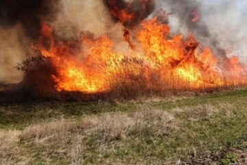 Incendiu de vegetație. Foto: adevărul.ro