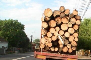 Tir cu lemne (foto generic)