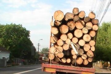 Tir cu lemne (fotografie generică)