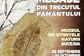 „Mesaje din trecutul pământului”, expoziție la Muzeul de Științele Naturii Suceava