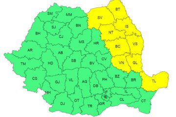 Cod galben de ploi însemnate cantitativ în Moldova și nordul Dobrogei