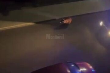 Ursul apărut duminică noapte pe străzile din Fălticeni