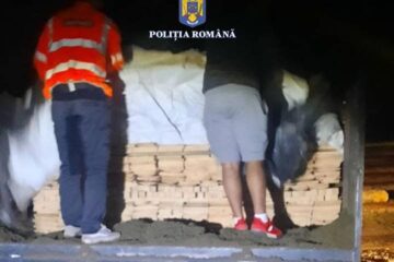 O autoutilitară care aparent transporta nisip ascundea o cantitate importantă de cherestea