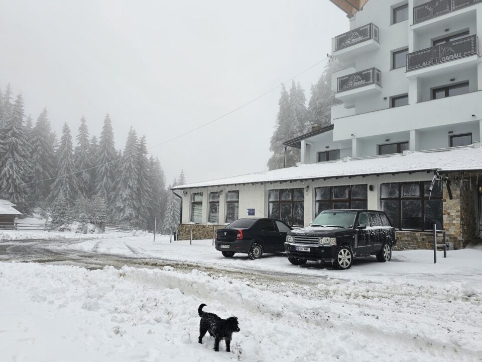 A nins în zona de munte a județului Suceava, stratul de zăpadă ajungând și la 14 cm