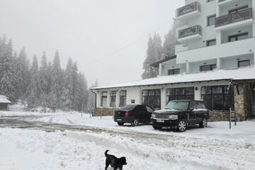 A nins în zona de munte a județului Suceava, stratul de zăpadă ajungând și la 14 cm