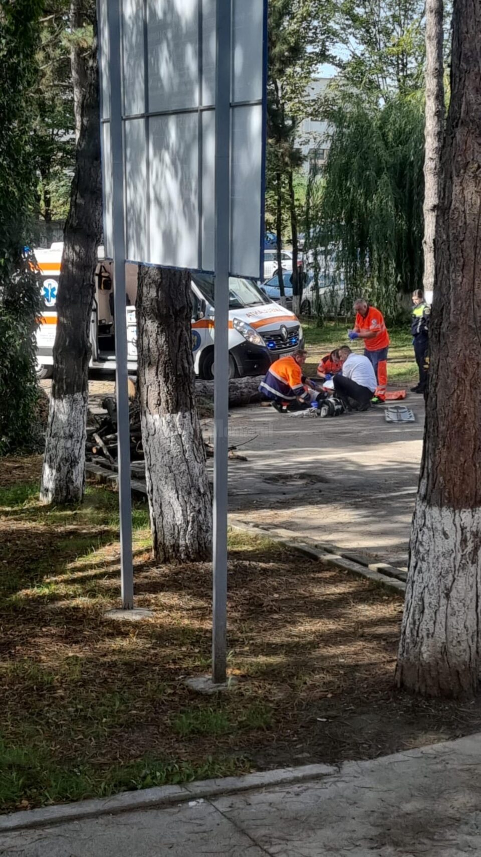 Copac căzut peste angajata unei instituții din Suceava