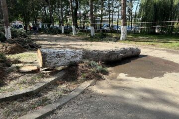 Locul în care s-a produs incidentul