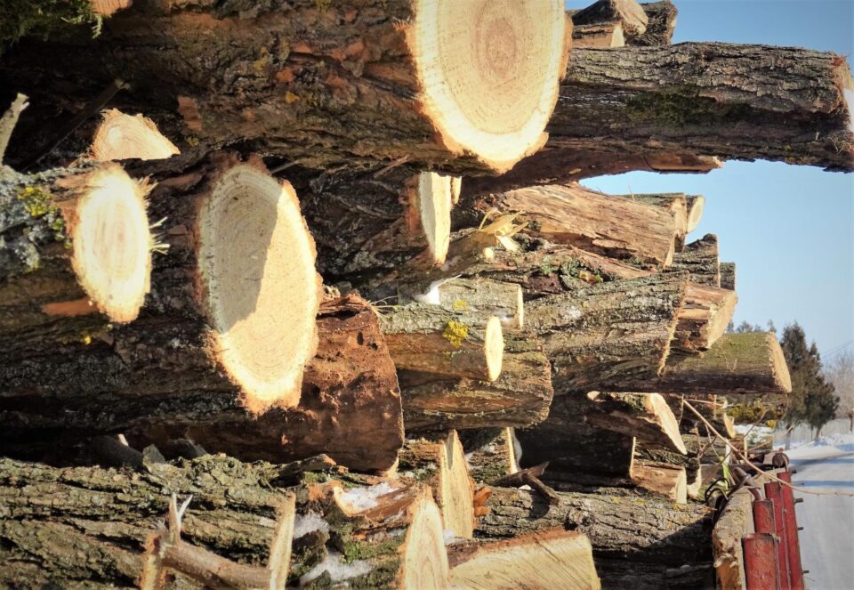 Aproape 12.000 de metri cubi de lemn de foc disponibil la două ocoale ale Direcției Silvice Suceava Aproape 12.000 de metri cubi de lemn de foc disponibil la două ocoale ale Direcției Silvice Suceava