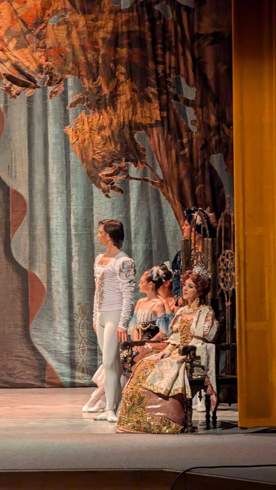Artiștii de la Teatrul de Operă și Balet „Maria Bieșu” din Republica Moldova, aplaudați de sute de suceveni, la finalul spectacolului „Lacul lebedelor”
