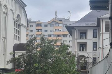 Nuc din curtea Catedralei din Suceava, tăiat fără nici o autorizație