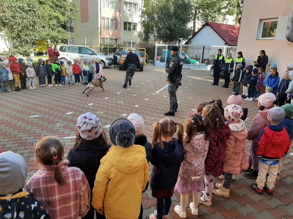 Ce sunt ele, emoțiile mele – joc didactic