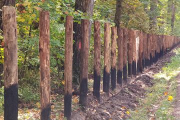 Cel mai mare țarc de vânătoare din județ este în curs de amenajare la Ocolul Silvic Pătrăuți