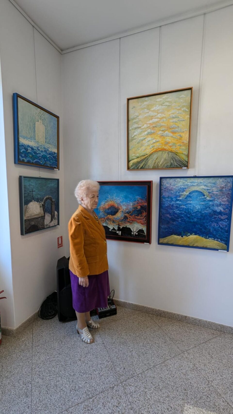 Lansarea albumului de artă „Angela Pitariu Bolnavu”, la Muzeul de Istorie Suceava