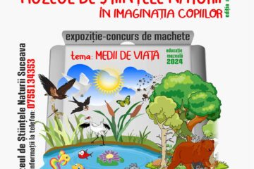 Concurs de machete, la Muzeul de Științele Naturii