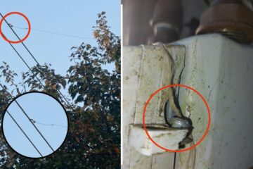 Consumul fraudulos de energie electrică, în creștere
