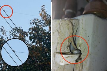 Consumul fraudulos de energie electrică, în creștere
