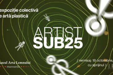 Proiectul „Artist sub 25”, ediția a III-a, la Muzeul Arta Lemnului. Expun 16 tineri artiști