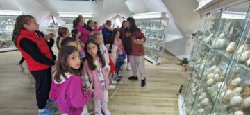 Șapte profesori și nouă elevi din Italia, Spania și Turcia, în vizită la Școala Gimnazială nr. 4 Suceava, în proiectul Stop Bullying Through Inclusion Games!