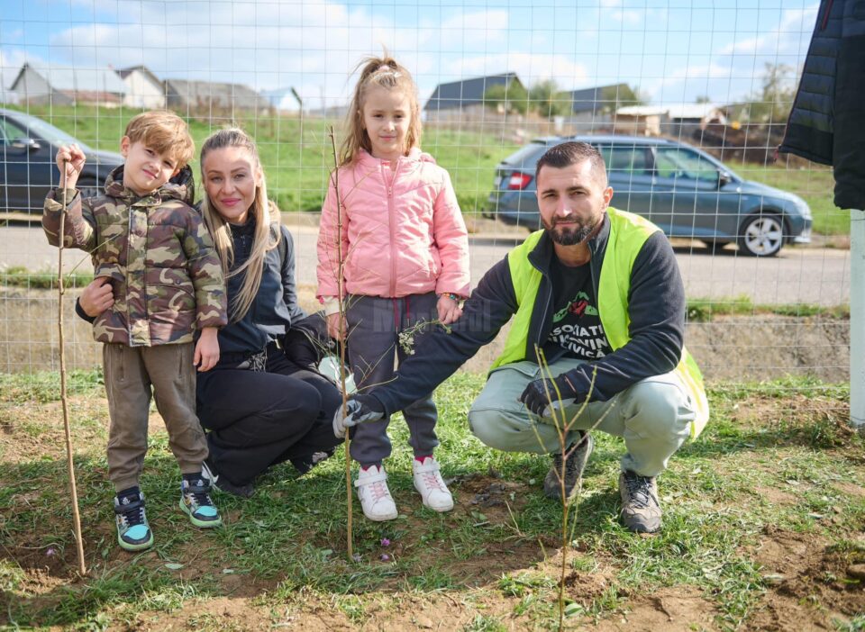 Perdea de arbori plantată la Mitocul Dragomirnei, cu ajutorul a 350 de voluntari