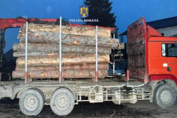 Autotren cu lemne, confiscat după ce s-a demonstrat că a efectuat mai multe transporturi pe același aviz