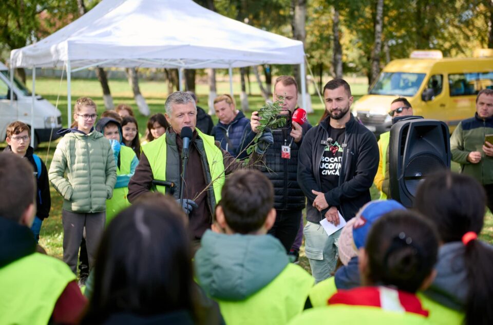 Perdea de arbori plantată la Mitocul Dragomirnei, cu ajutorul a 350 de voluntari