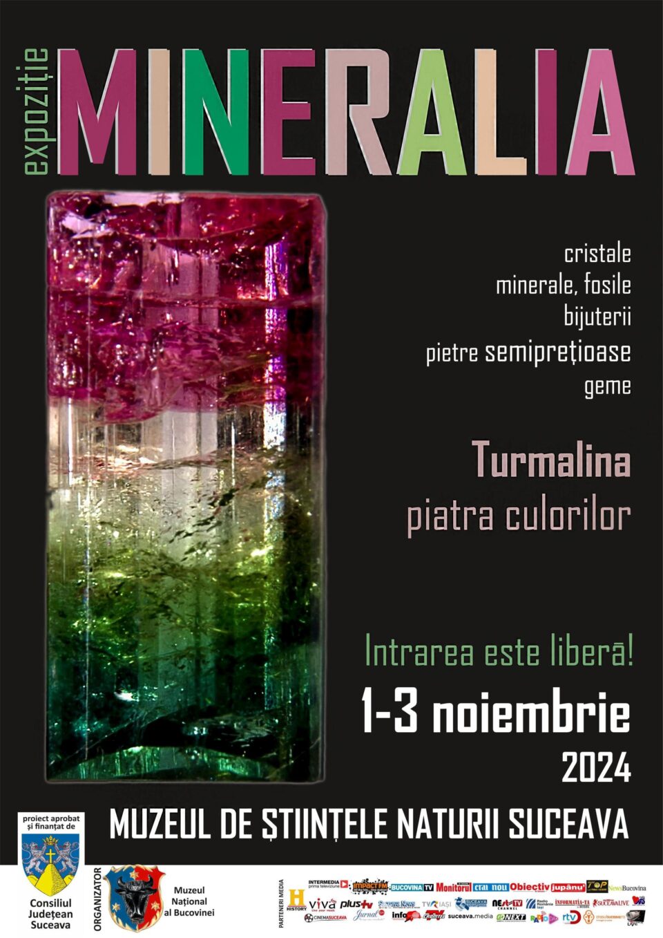Minerale rare, cristale naturale, bijuterii, pietre prețioase, la Muzeul de Științele Naturii Suceava Minerale rare, cristale naturale, bijuterii, pietre prețioase, la Muzeul de Științele Naturii Suceava