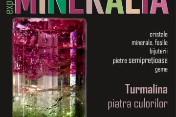Minerale rare, cristale naturale, bijuterii, pietre prețioase, la Muzeul de Științele Naturii Suceava
