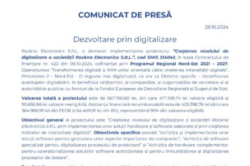 Dezvoltare prin digitalizare - Creșterea nivelului de digitalizare a societății Rockna Electronics S.R.L