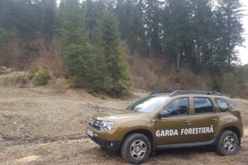 22 de percheziții ale DNA Suceava, vizați fiind și funcționari ai Gărzii Forestiere