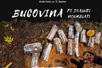 O selecție captivantă de fotografii realizate de artiști suceveni va fi expusă la Galeria de artă Zamca