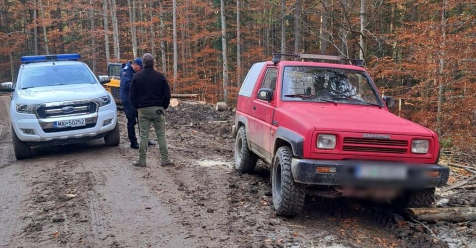 Jandarmii și bărbații suspectați de căutare de trufe