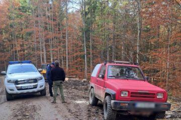 Doi bărbați aflați în pădure cu trei câini au încasat amenzi pentru că patrupedele nu erau în lesă