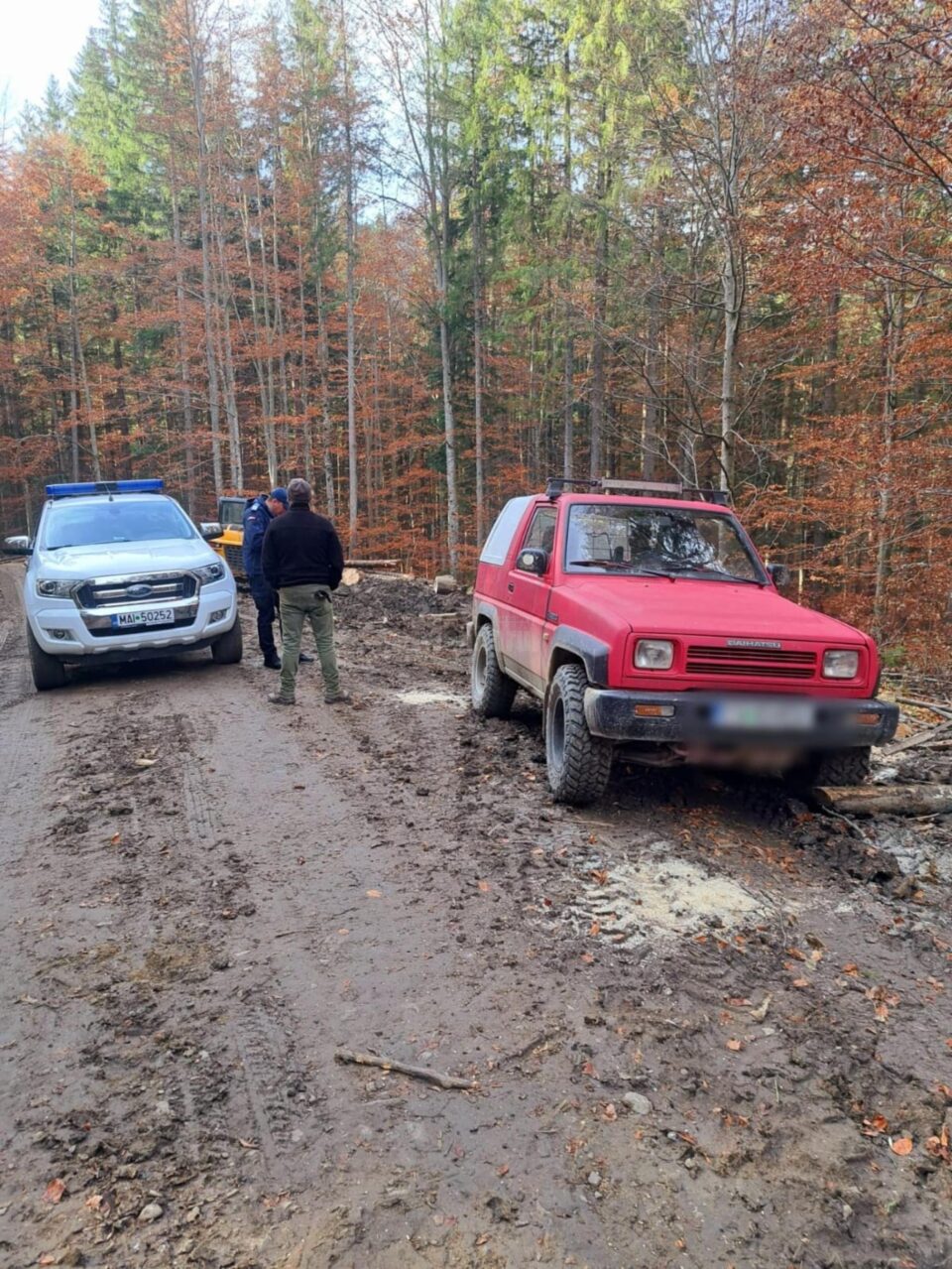 Doi bărbați aflați în pădure cu trei câini au încasat amenzi pentru că patrupedele nu erau în lesă Doi bărbați aflați în pădure cu trei câini au încasat amenzi pentru că patrupedele nu erau în lesă