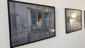 Expoziția de fotografie „Bucovina pe dealuri neumblate” poate fi admirată la Galeria de artă Zamca