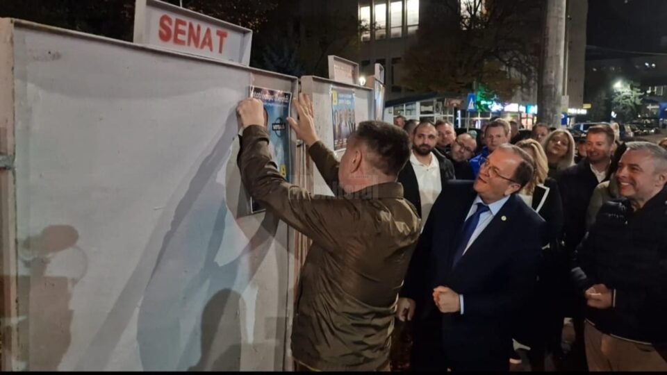 Liberalii suceveni, la start în campania pentru alegerile parlamentare