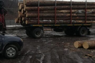 Zeci de metri cubi de lemn de construcții și de foc, depistați într-un depozit din Câmpulung Moldovenesc