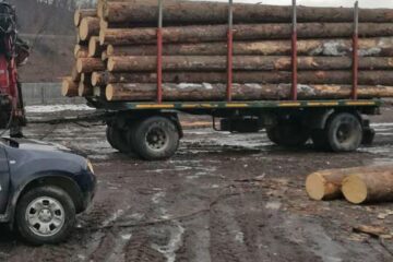 Zeci de metri cubi de lemn de construcții și de foc, depistați într-un depozit din Câmpulung Moldovenesc