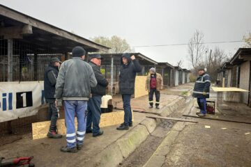 Amplă acțiune de igienizare la adăpostul de câini al orașului. S-au schimbat inclusiv cuștile