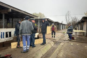 Amplă acțiune de igienizare la adăpostul de câini al orașului. S-au schimbat inclusiv cuștile