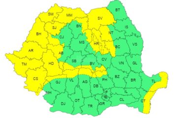 Cod galben de vreme rea